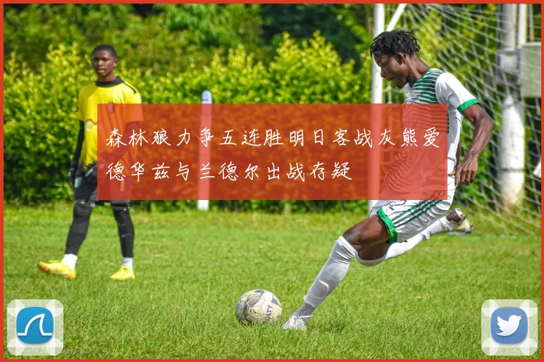 森林狼力争五连胜明日客战灰熊爱德华兹与兰德尔出战存疑