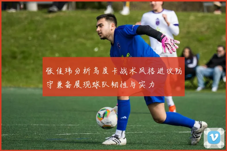 张佳玮分析乌度卡战术风格进攻防守兼备展现球队韧性与实力