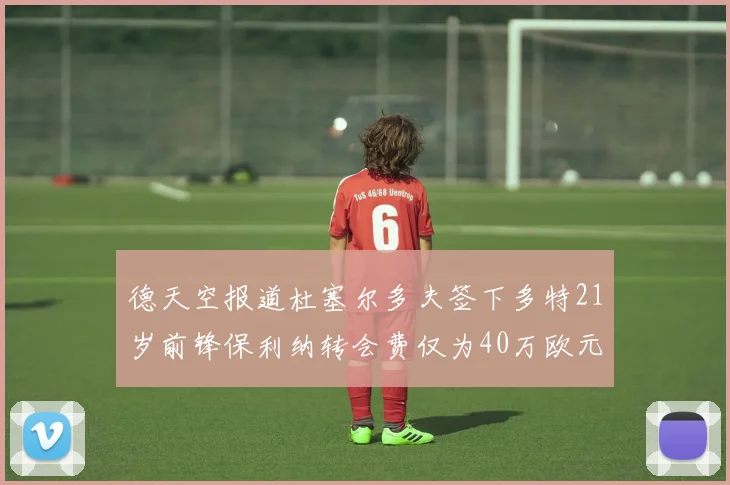 德天空报道杜塞尔多夫签下多特21岁前锋保利纳转会费仅为40万欧元
