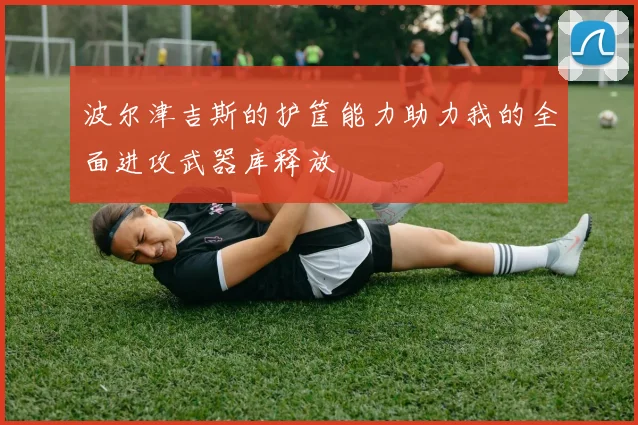 波尔津吉斯的护筐能力助力我的全面进攻武器库释放