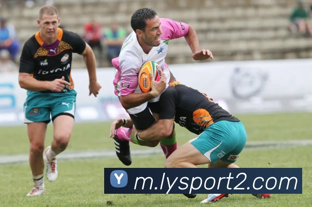 乐鱼体育服务体系