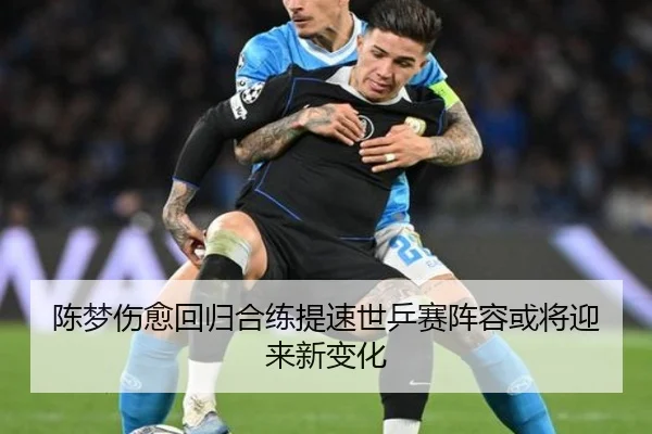 陈梦伤愈回归合练提速世乒赛阵容或将迎来新变化 | leyu.com
